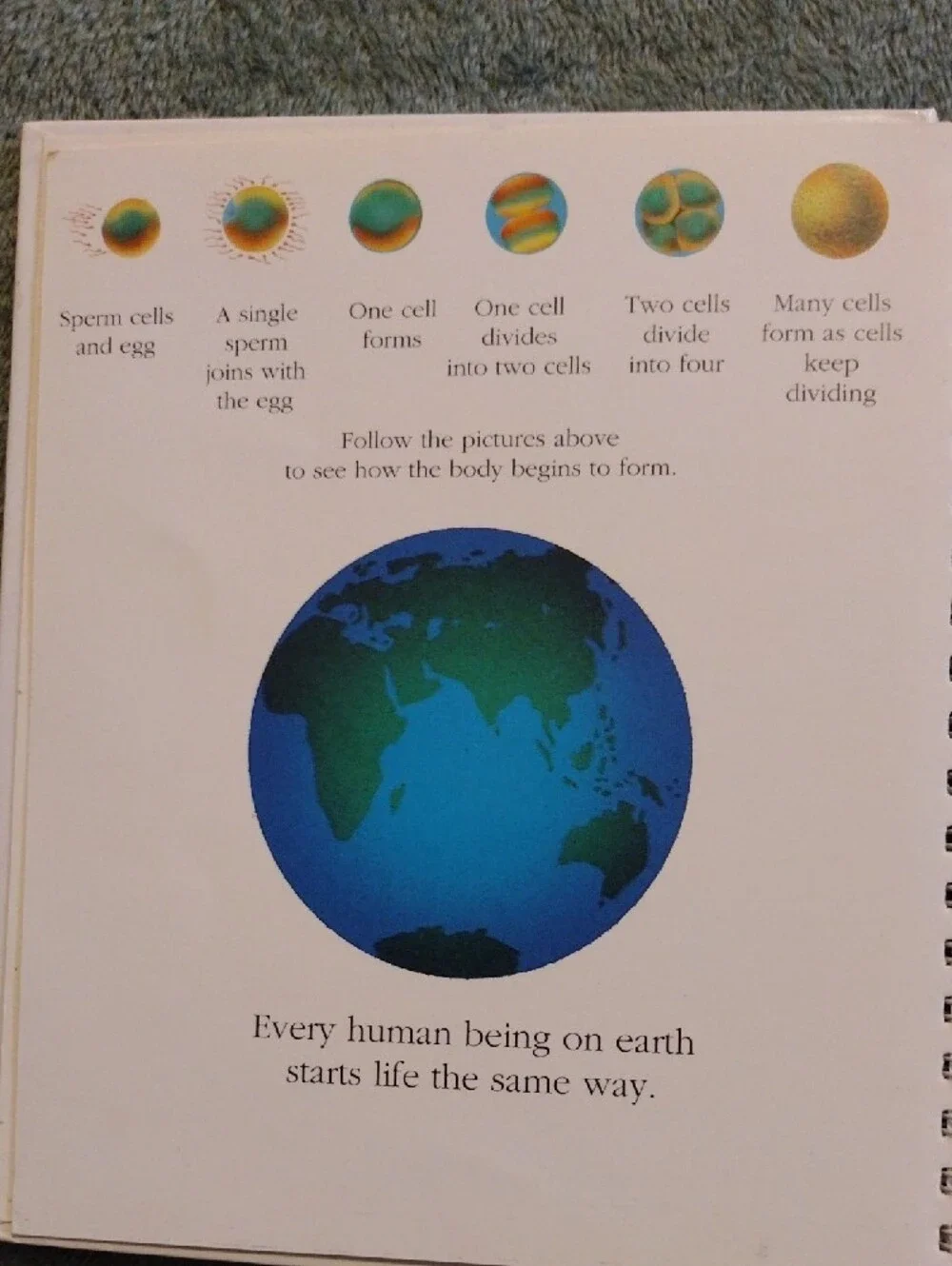 3/$15 - The Human Body
